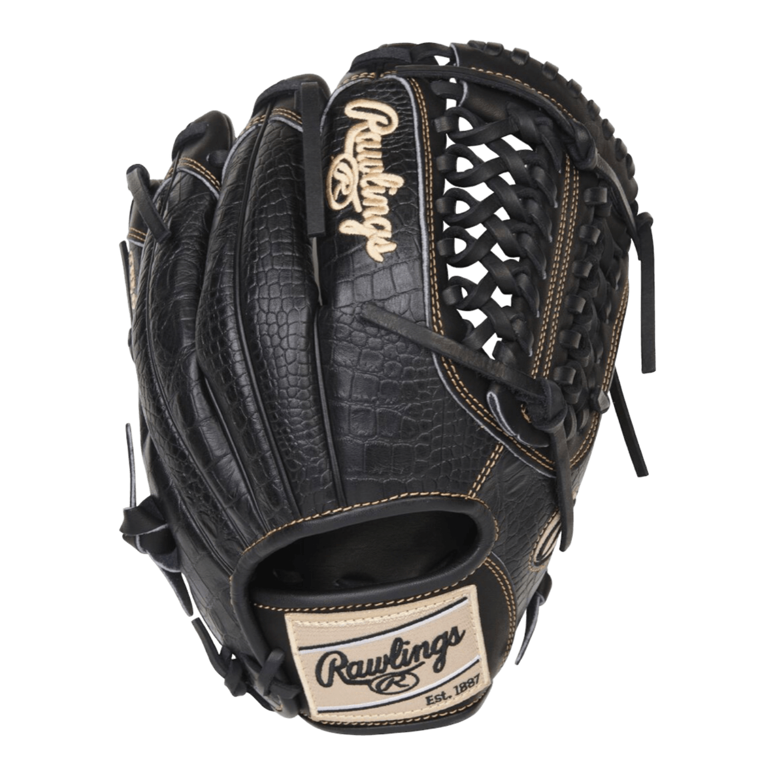 Rawlings black best sale baseball glove